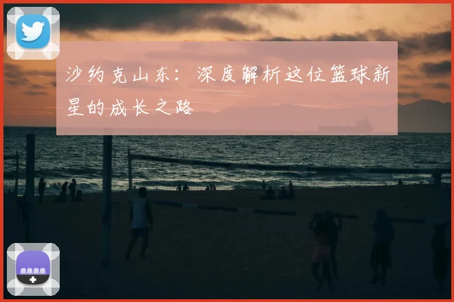 沙约克山东:深度解析这位篮球新星的成长之路